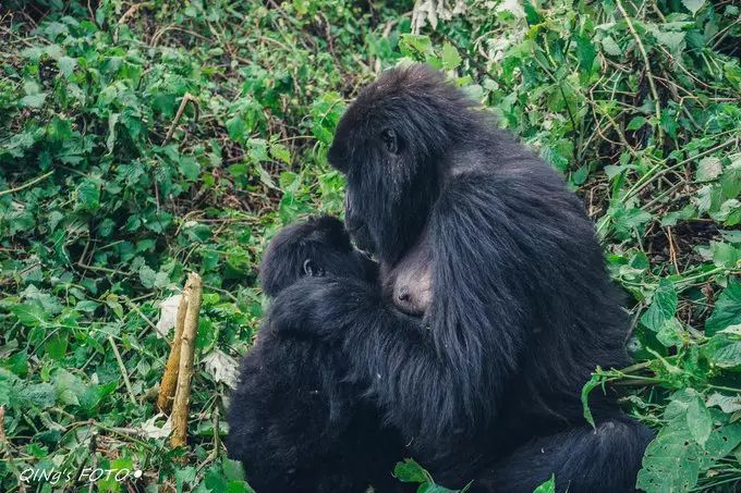 750块钱可以干什么,750块钱能干什么