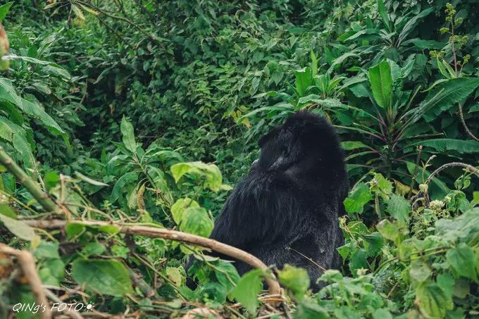 750块钱可以干什么,750块钱能干什么