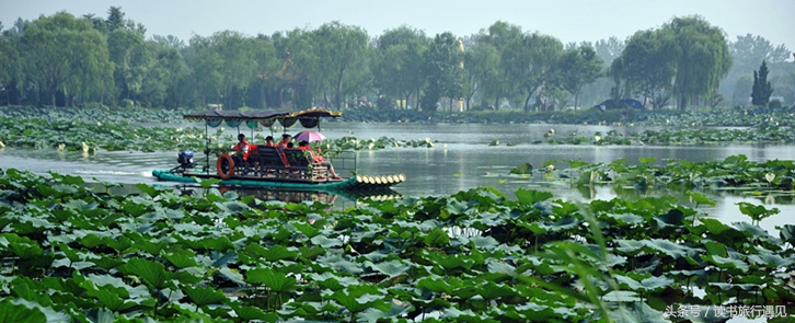 潍坊的5a级景区,潍坊100个景区排名