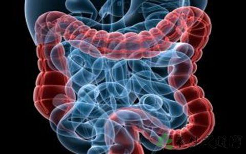 认识消化道早癌：早期结直肠癌的诊断与治疗