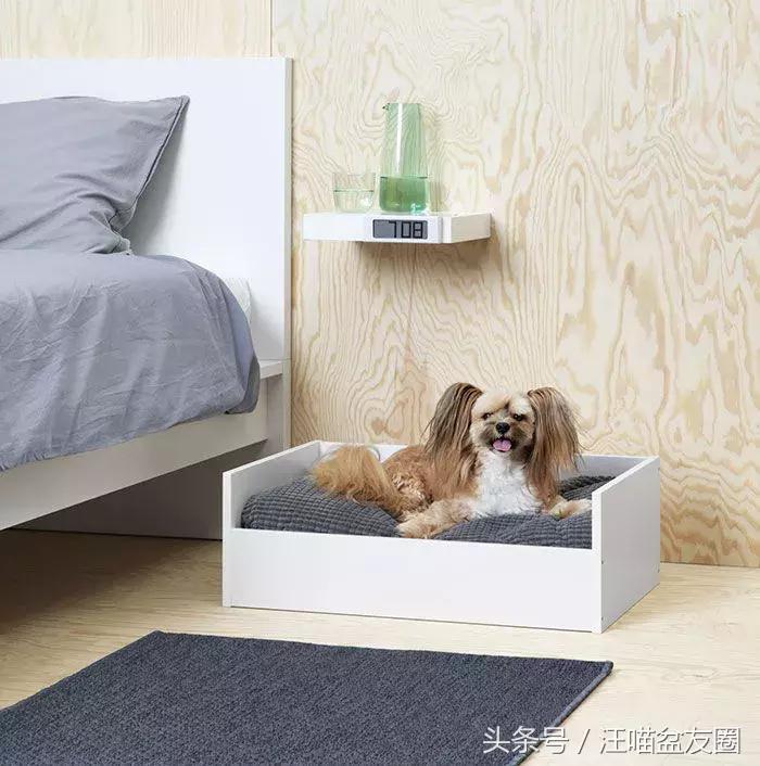 宜家宠物家具效果图,宜家宠物专区有哪些