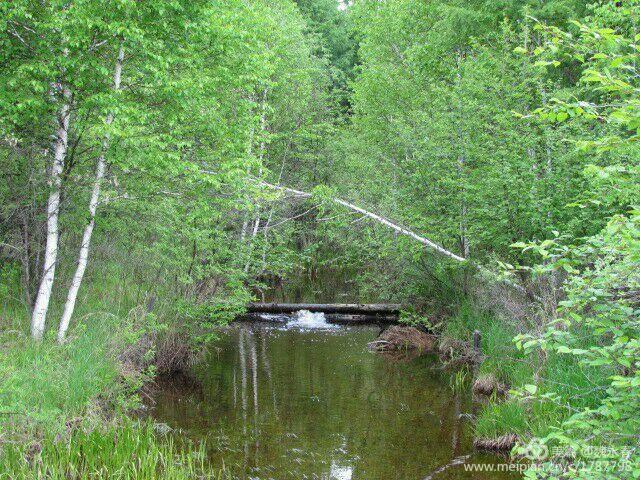 旅游、度假、休闲娱乐为一体的内蒙古根河市敖鲁古雅旅游度假村