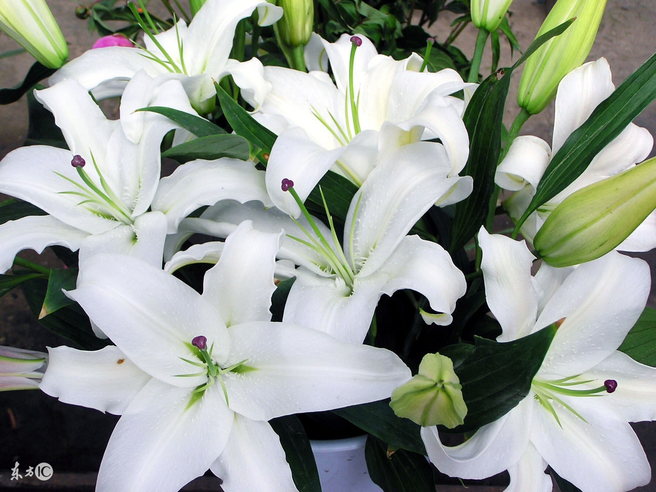 公务接待穿什么,公务礼品一般送什么