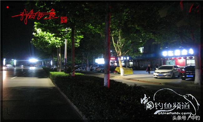 夜钓继续过小瘾，回家煲煲爱心粥