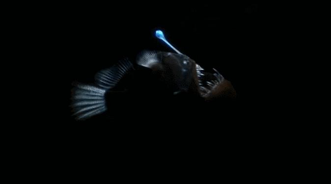 等了你十七年,等了17年