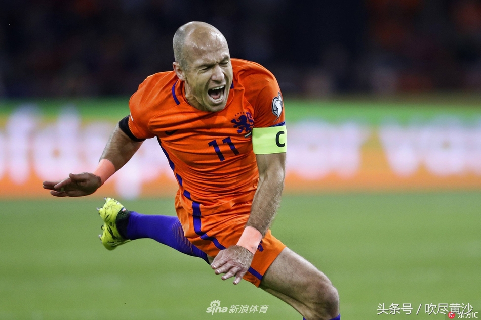 郁金香凋零图片,郁金香枯萎了