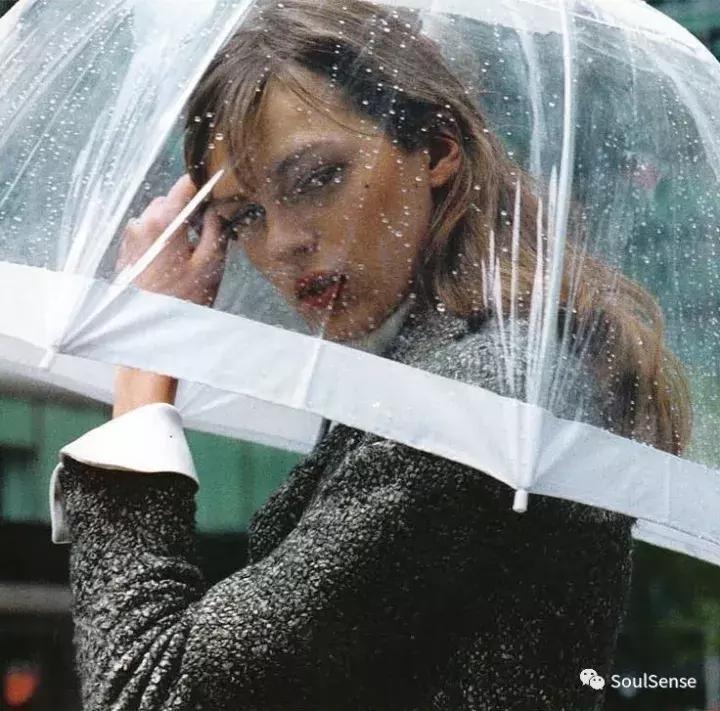 收藏雨伞,高档收藏雨伞