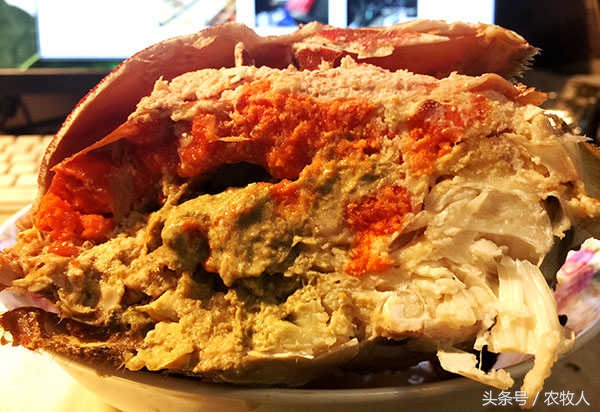 螃蟹知识,螃蟹科普小知识