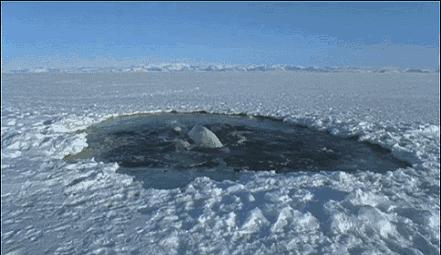 等了你十七年,等了17年