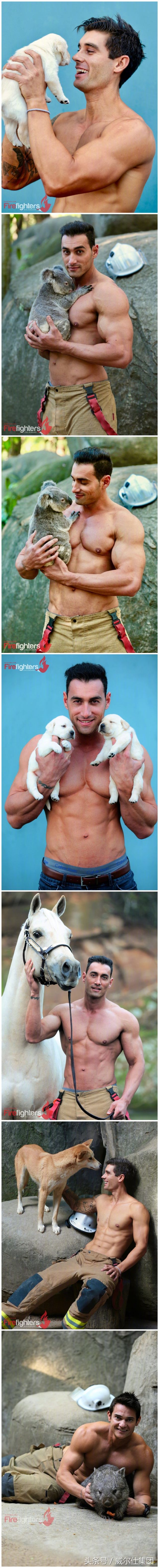 澳大利亚消防员的日历,2024澳洲消防员月历