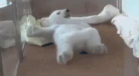 搞笑gif哥们你这结婚方式很简陋,搞笑gif趣图瞧你没出息的样子