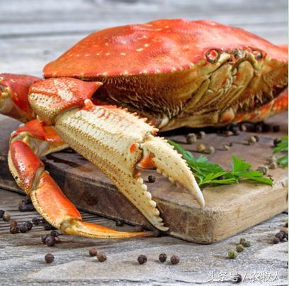 螃蟹知识,螃蟹科普小知识