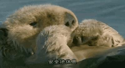 等了你十七年,等了17年