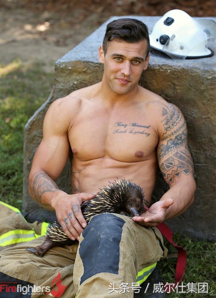 澳大利亚消防员的日历,2024澳洲消防员月历