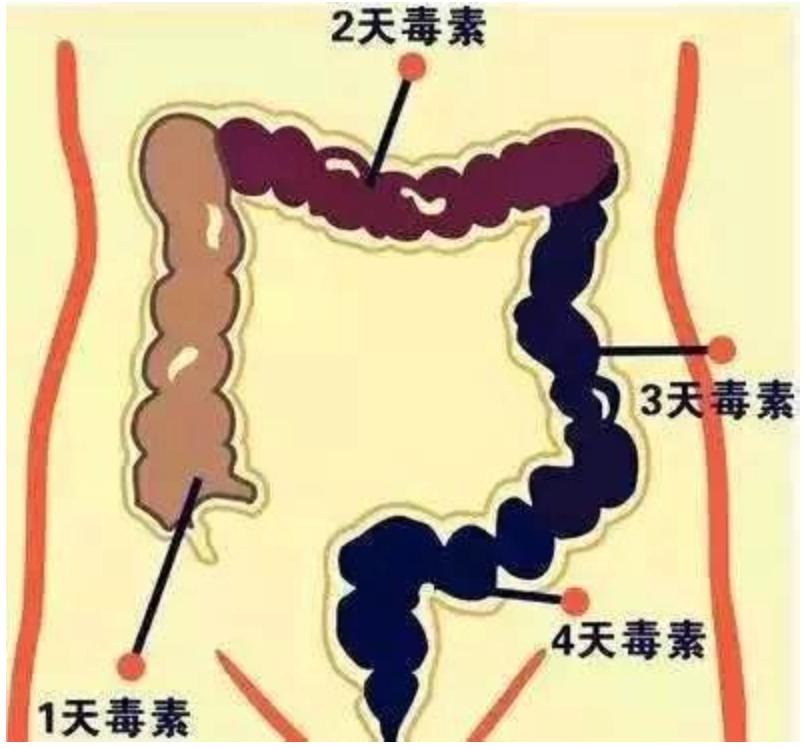 减肥健康营养误区,减肥减重的误区