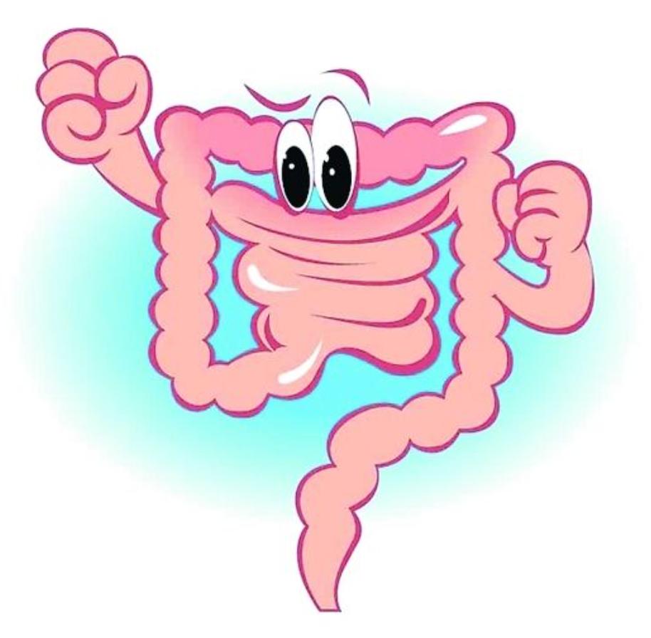 减肥健康营养误区,减肥减重的误区