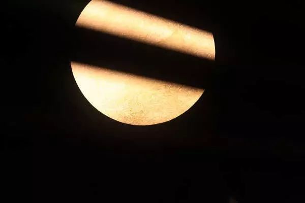 最红的网红淘宝店主,上海网红淘宝店主