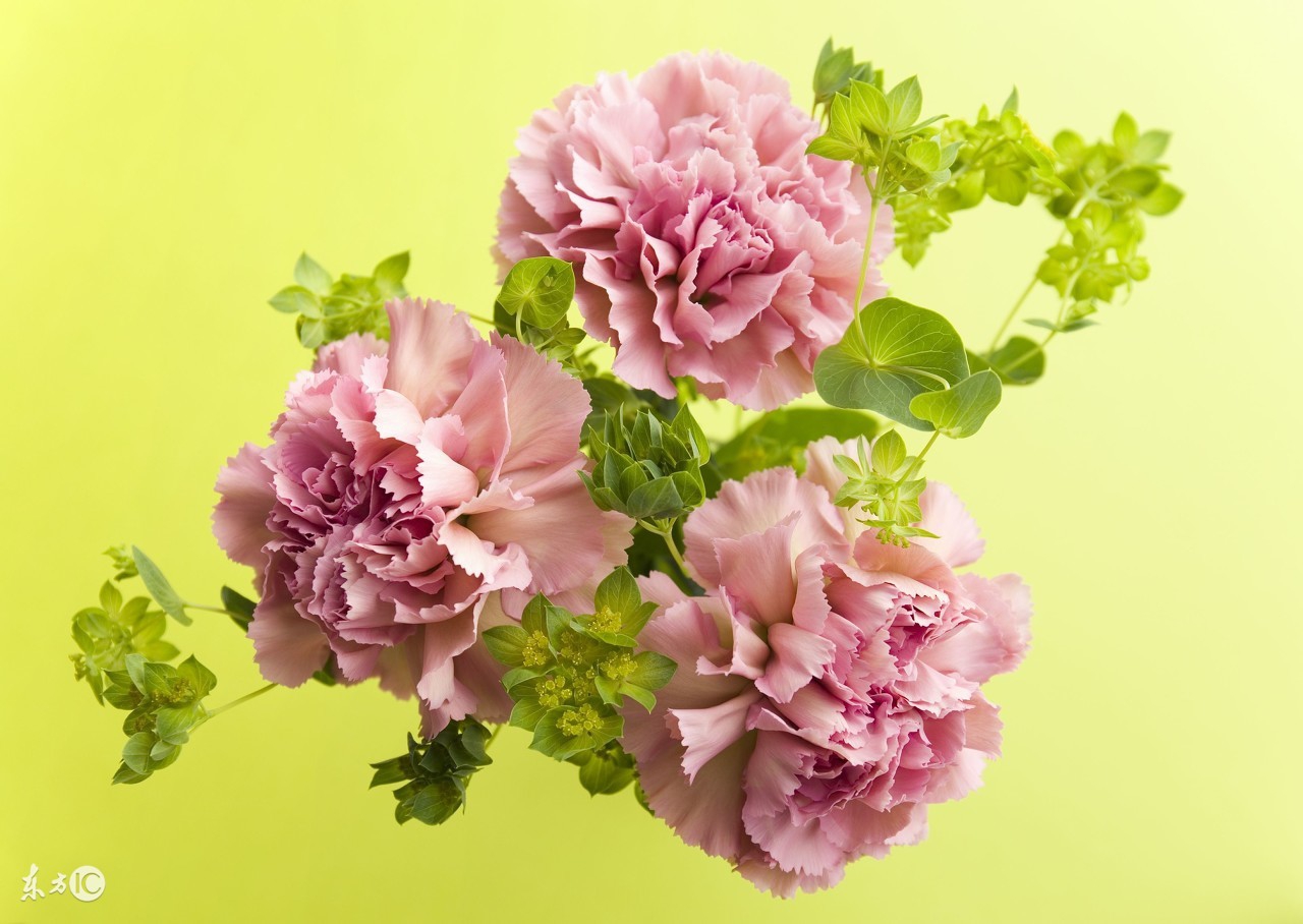 公务接待穿什么,公务礼品一般送什么