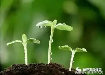 胎停流产后心理出现问题,胎停流产后抑郁怎么心理疏导