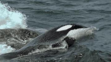 等了你十七年,等了17年