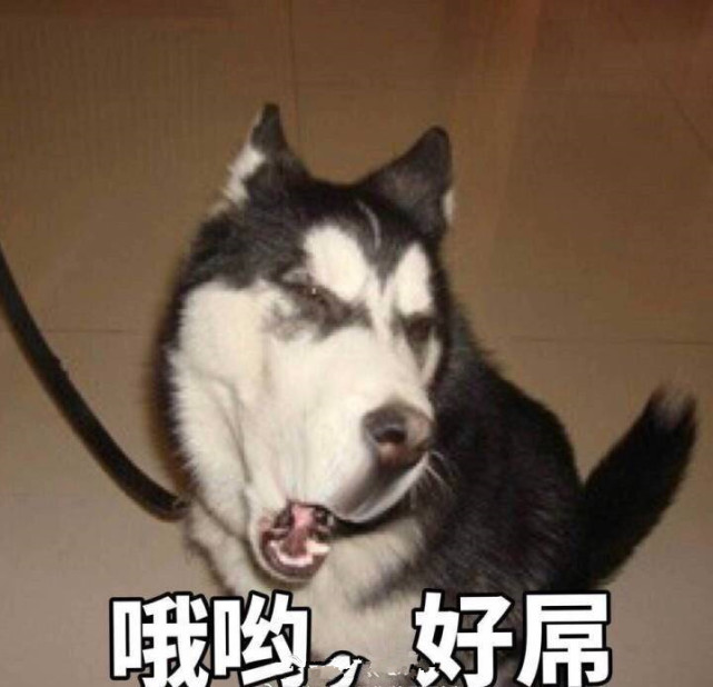 肯德基鸡肉汉堡怎么做,怎样做肯德基鸡肉汉堡