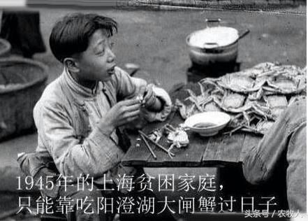 螃蟹知识,螃蟹科普小知识