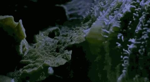 等了你十七年,等了17年