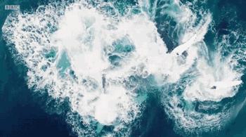 等了你十七年,等了17年