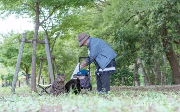 日本大阪旅游三天,大阪玩转日本6天5晚跟团游