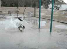 搞笑gif哥们你这结婚方式很简陋,搞笑gif趣图瞧你没出息的样子