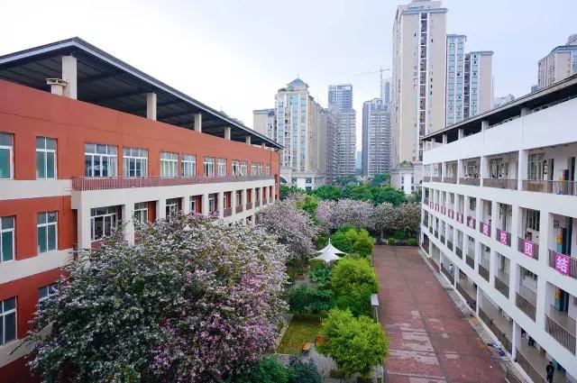 柳州市第十二中学农志勋,柳州市第十二中学许尧