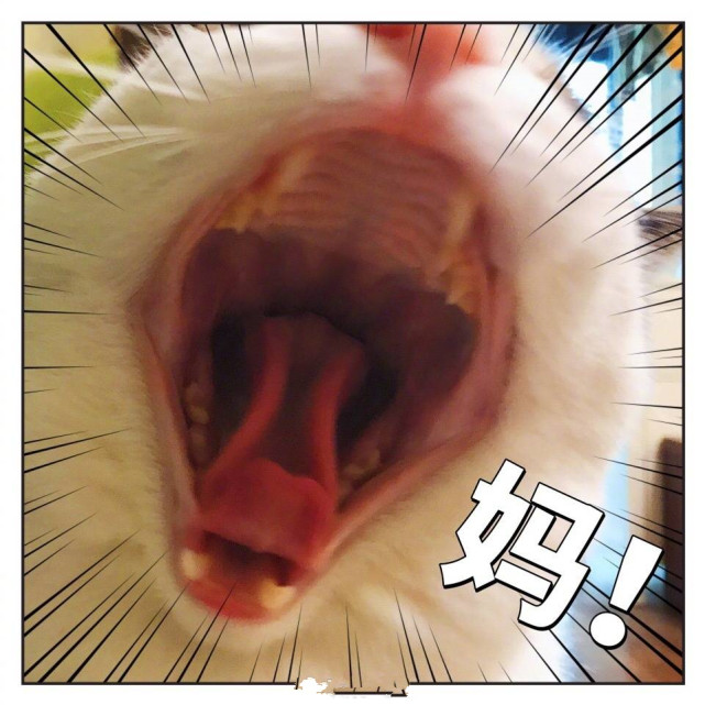 肯德基鸡肉汉堡怎么做,怎样做肯德基鸡肉汉堡