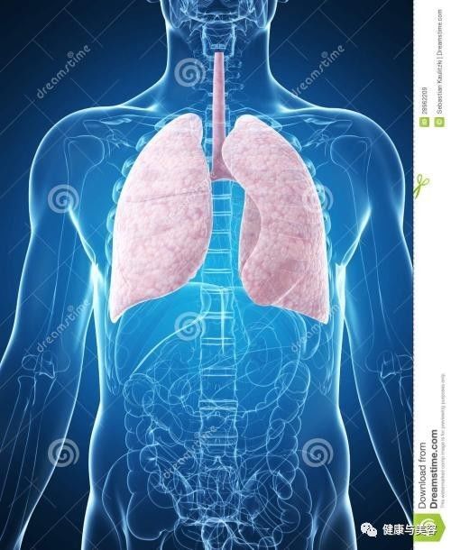 目涩眼干,咽喉热痒老想咳嗽清热解毒