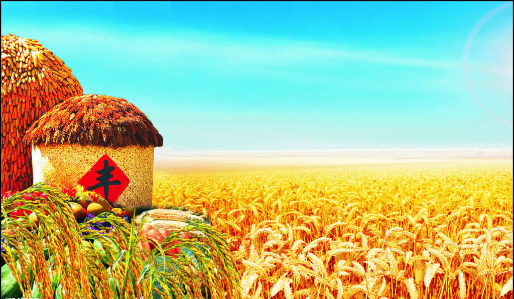 国人又长脸了，海水里种出高产稻，外国人都羡慕不已？