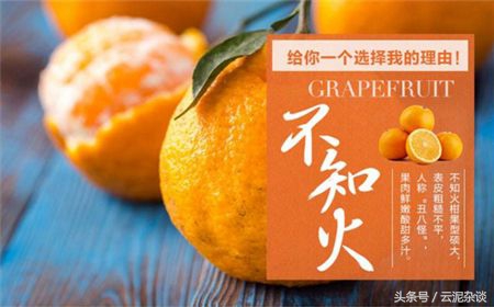 准备好桔子、柚子、橙子马上要占领你的朋友圈！