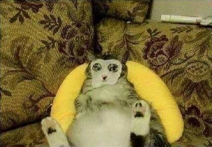 这个村一条秋裤卖全国闯出振兴路,厉害这个村凭一条虾走上了致富路