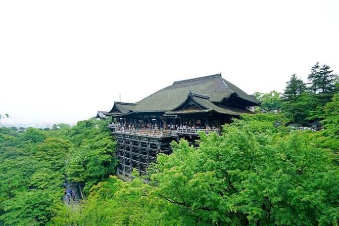 日本的神户牛肉,日本大阪环球影城奈良的鹿