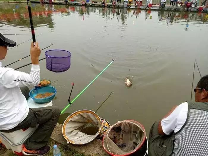 行营钓具比赛视频,行营钓鱼比赛现场直播