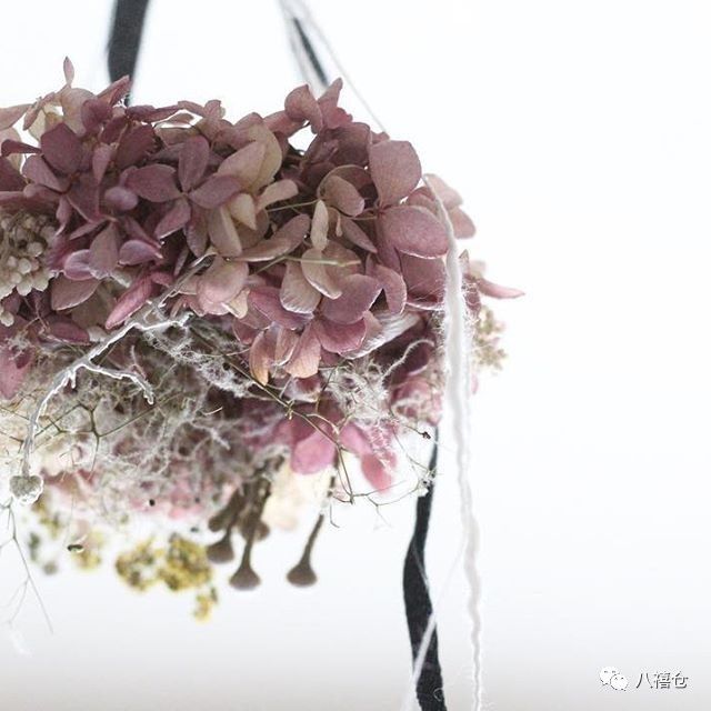 干花和假花有什么区别呀,干花品种及图片大全