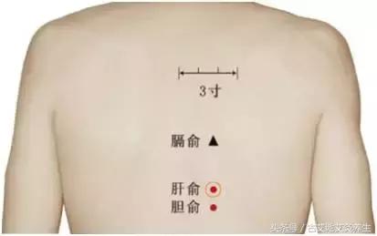 肝郁化火脾虚湿热下注怎么调理,下半身湿热是阳虚还是阴虚