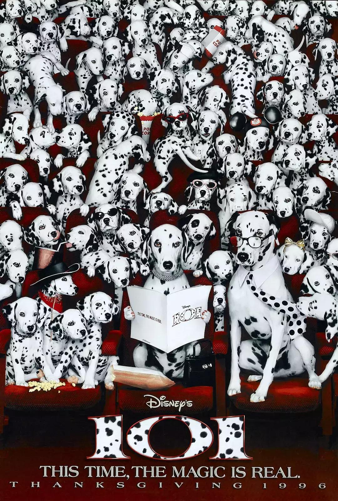 关于忠犬的9部电影推荐，看看有没有你家“那位”的影子