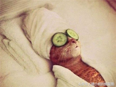 什么护肤品没有激素还能治肤色黄,最新的网红护肤品推荐