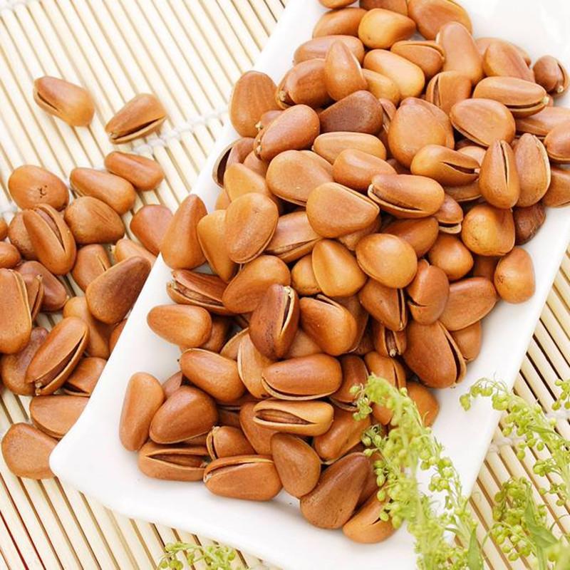 捡漏儿长白山大松子,我们一起来挖宝视频