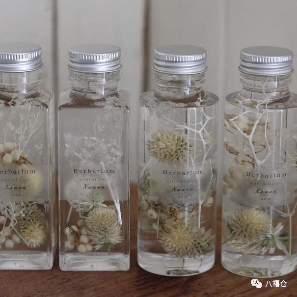 干花和假花有什么区别呀,干花品种及图片大全