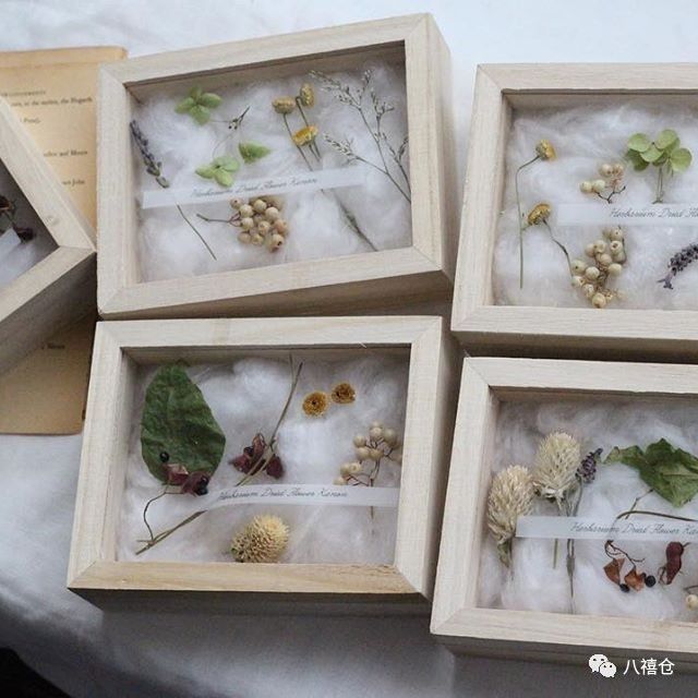 干花和假花有什么区别呀,干花品种及图片大全