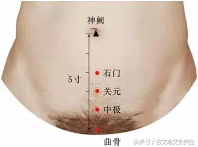 肝郁化火脾虚湿热下注怎么调理,下半身湿热是阳虚还是阴虚