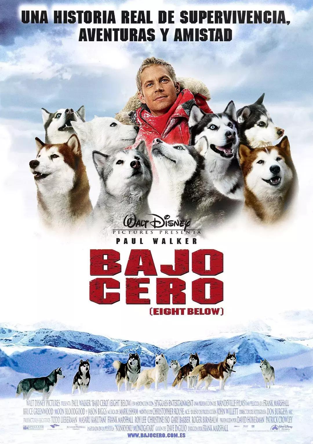 关于忠犬的9部电影推荐，看看有没有你家“那位”的影子