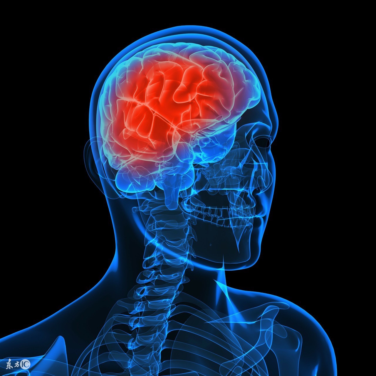 脑供血不足头晕仪器,脑供血不足眩晕治疗仪