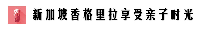 新加坡安全的酒店,新加坡安保有多强