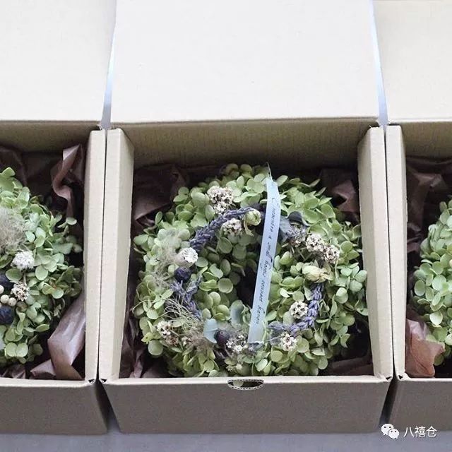 干花和假花有什么区别呀,干花品种及图片大全